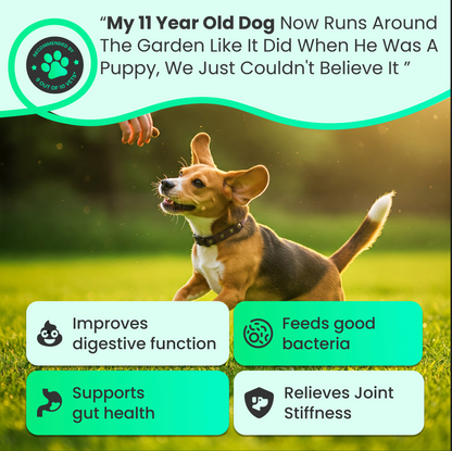 PureBiome+ Joint Care Max Strength for Dogs