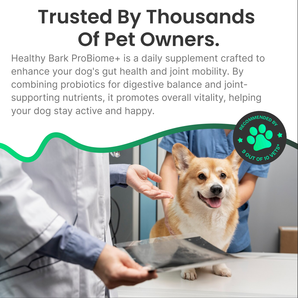 PureBiome+ Joint Care Max Strength for Dogs