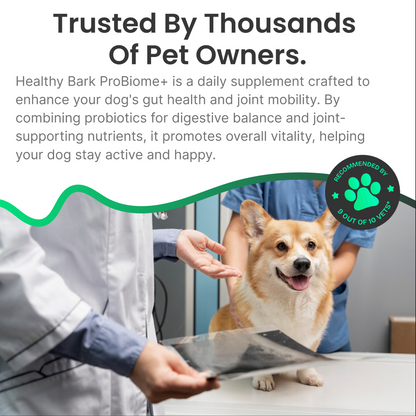 PureBiome+ Joint Care Max Strength for Dogs