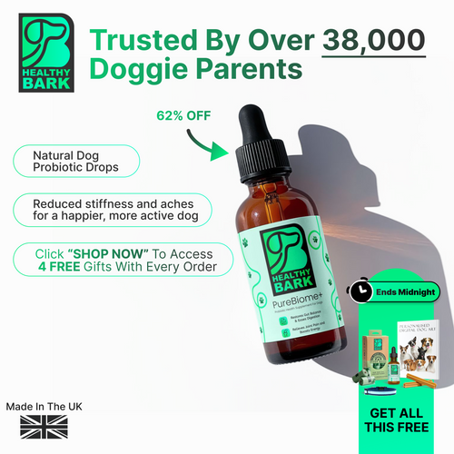 Dog Health Image